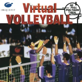 Virtual Volleyball