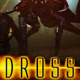 DROSS