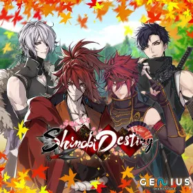Shinobi Destiny