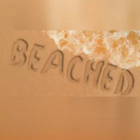 Beached