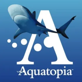Aquatopia