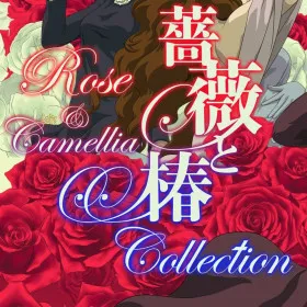 Rose & Camellia Collection