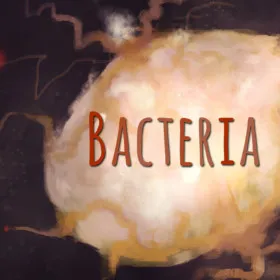 Bacteria