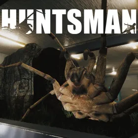 Huntsman