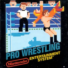 Pro Wrestling