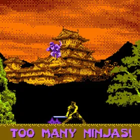 Too Many Ninjas!