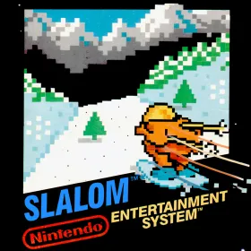 Slalom
