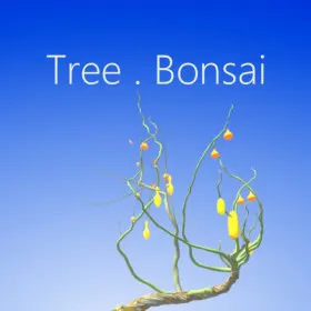 Tree Bonsai