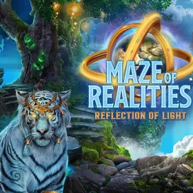 Maze of Realities: Reflection of Light