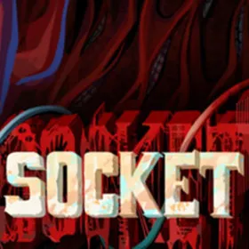 Socket