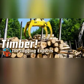 Timber! The Logging Experts