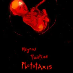 Magnus Positive Phototaxis