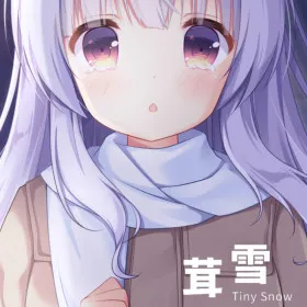 Tiny Snow
