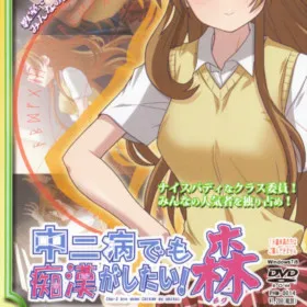 Chuunibyou demo Koi ga Shitai! Mori