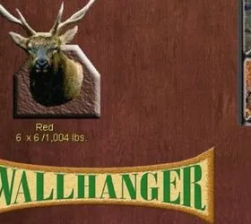 Wall Hanger