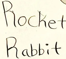 Rocket Rabbit
