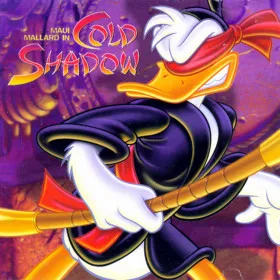 Maui Mallard in Cold Shadow