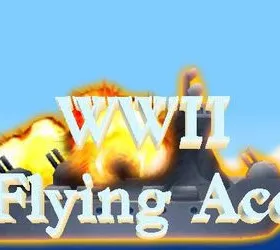 World War II Flying Ace