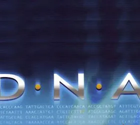 D.N.A.