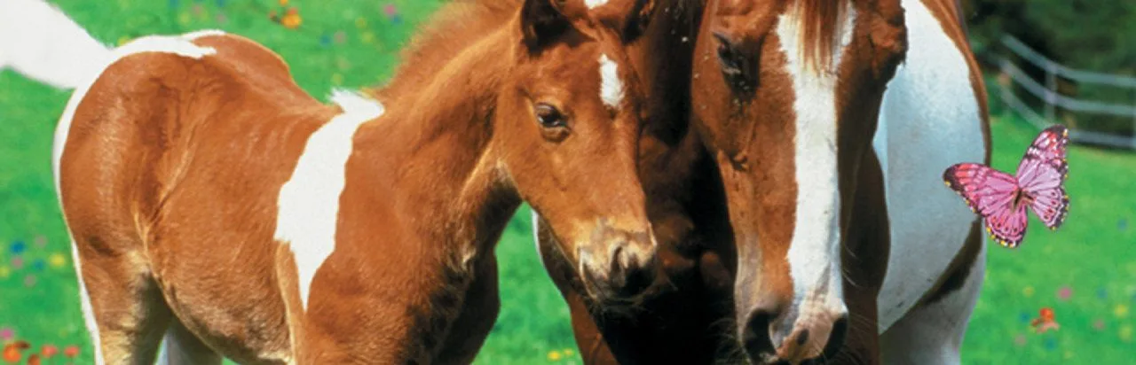 Horsez