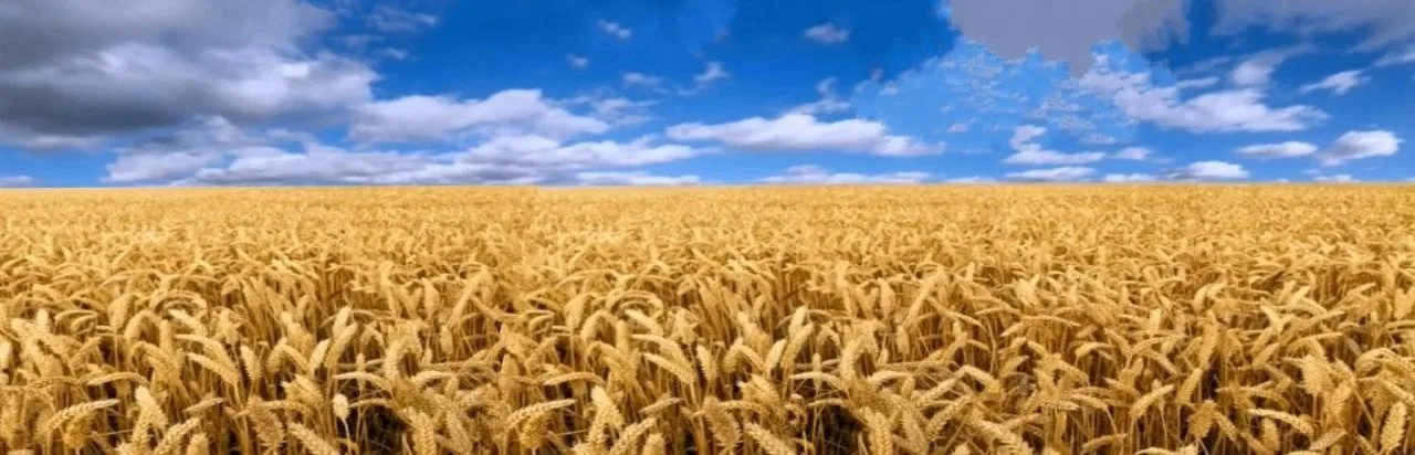 Farming Simulator 2009