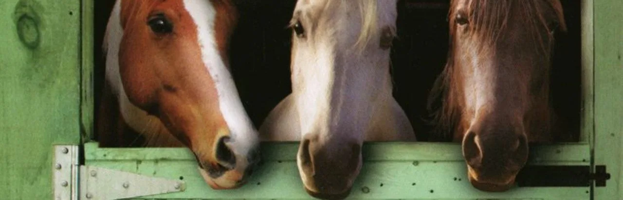 Pony Friends 2