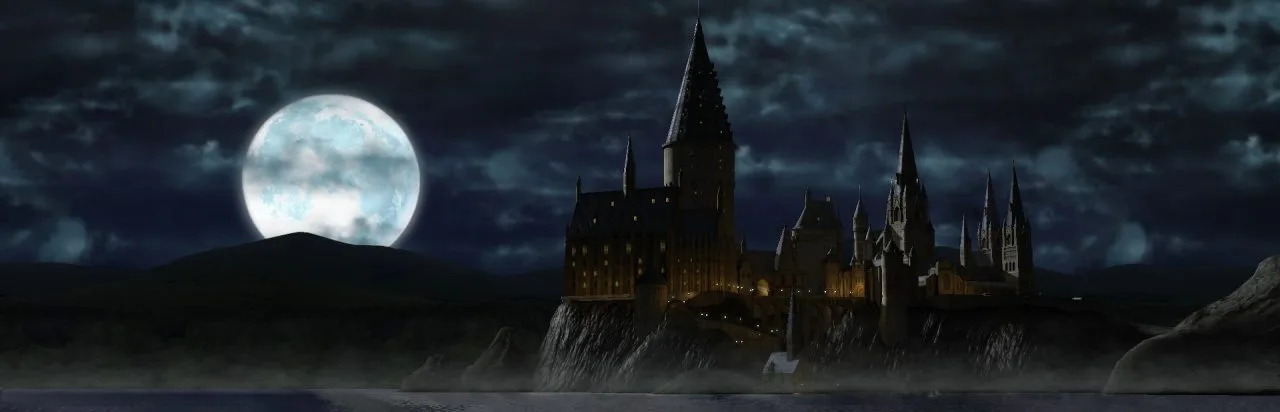 LEGO Harry Potter: Years 1-4