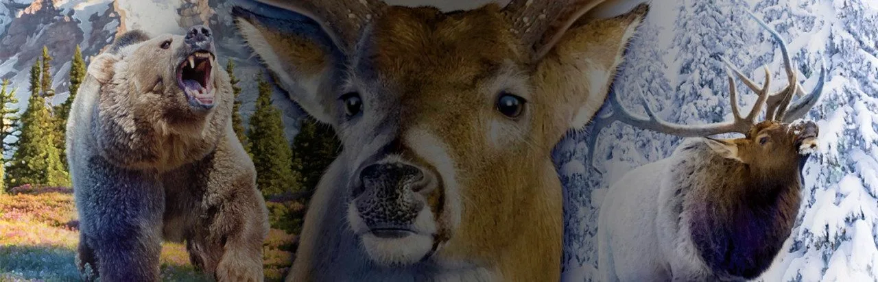 Bass Pro Shops: The Hunt