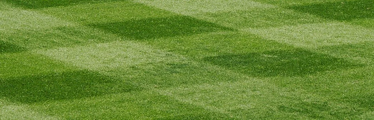Out of the Park Baseball 12