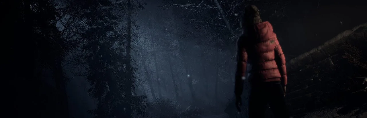 Until Dawn