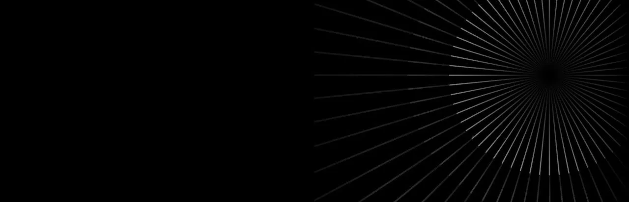 Dark Echo