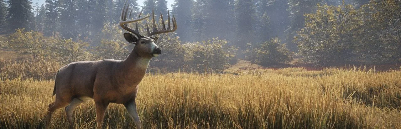 the Hunter: Call of the Wild
