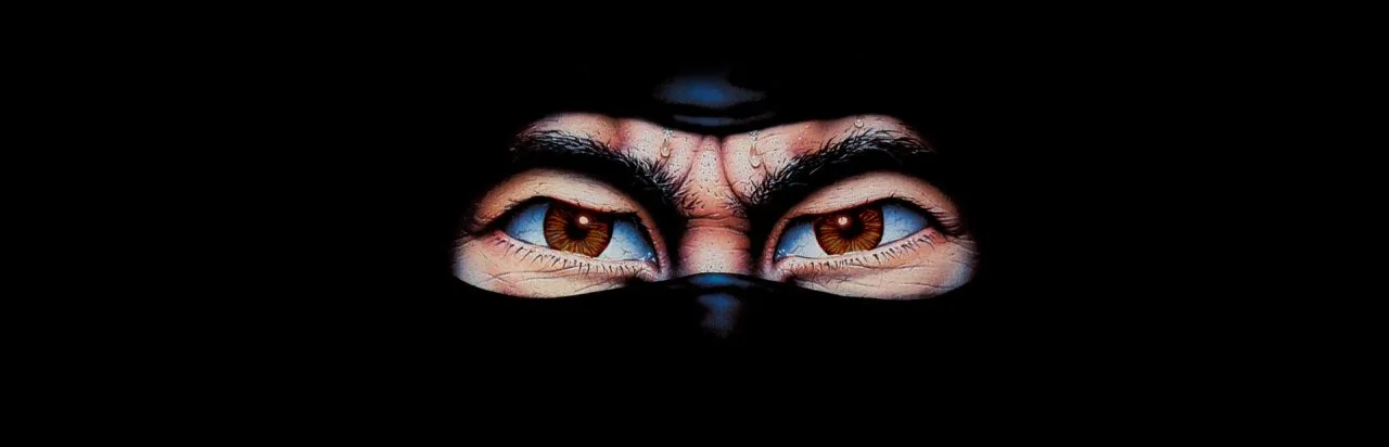 The Last Ninja