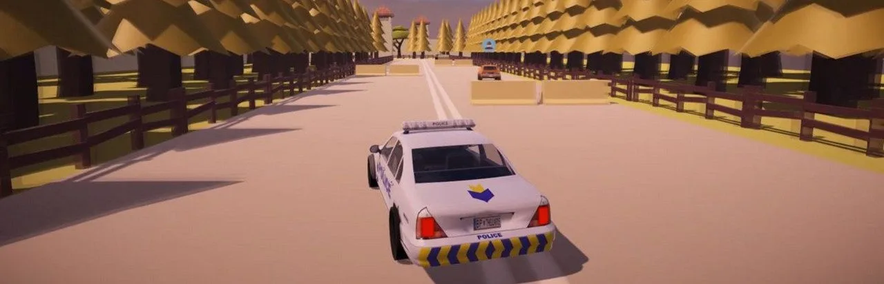 Police Patrol