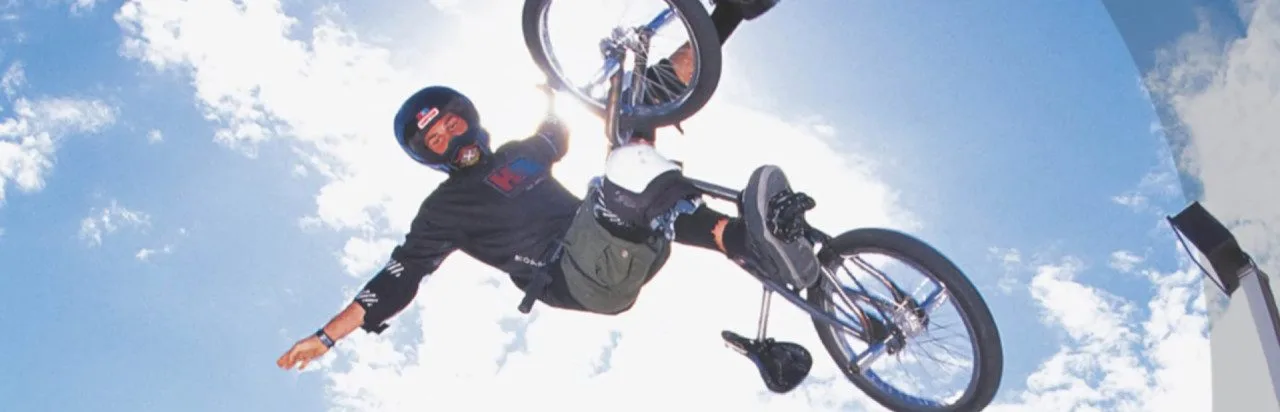 Mat Hoffman's Pro BMX