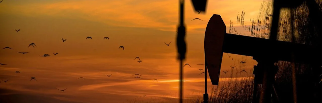 Black Gold: Wild West Story
