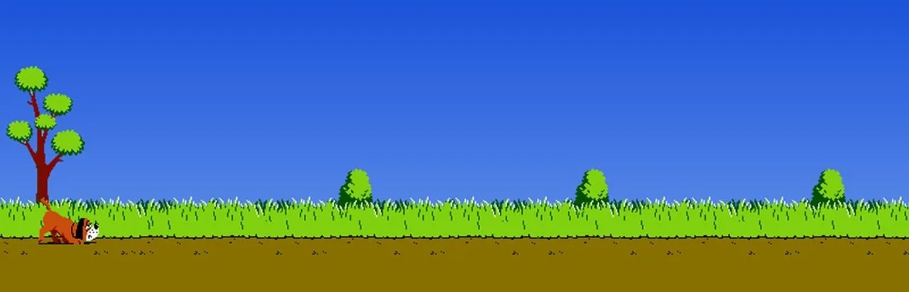 Duck Hunt