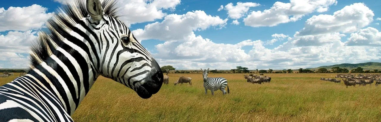 Afrika