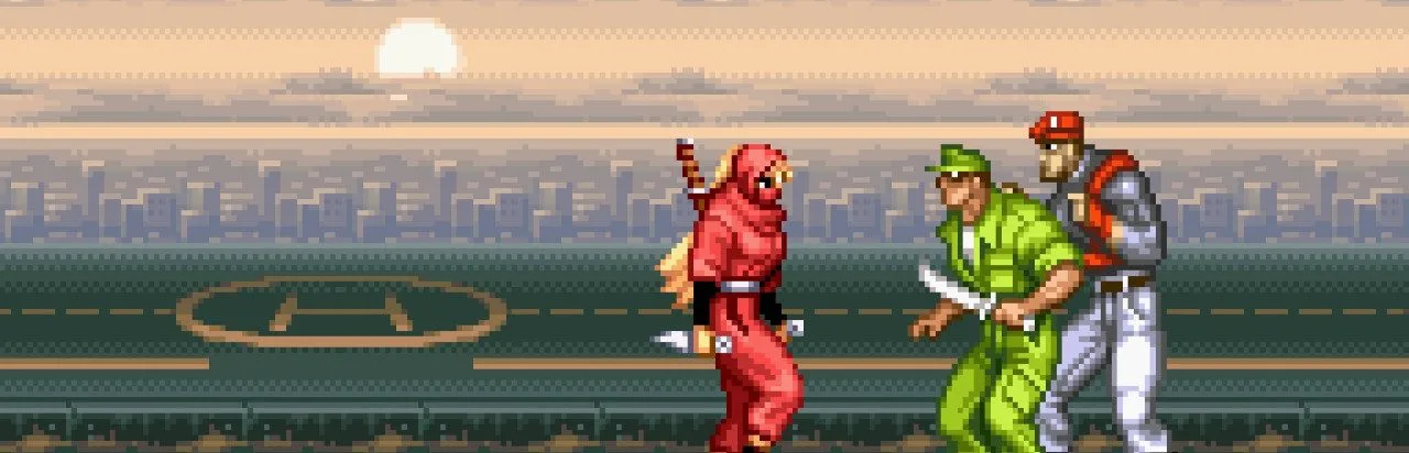The Ninja Warriors