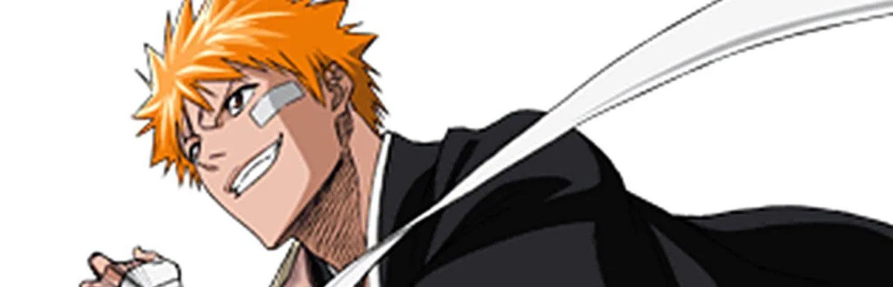 Bleach: Heat the Soul