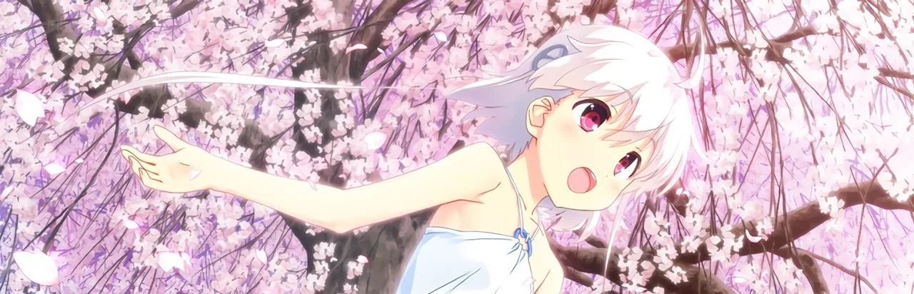 Himawari - The Sunflower -