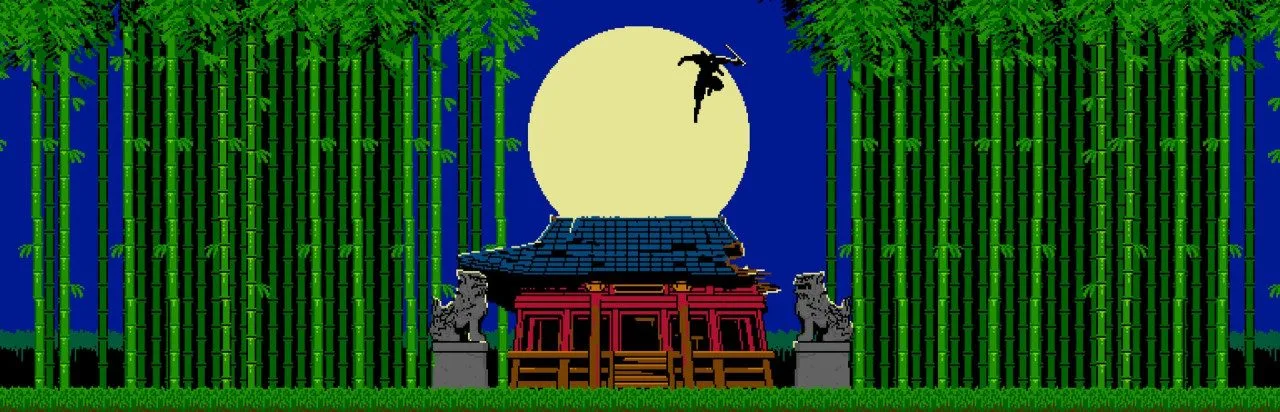 Shinobi Non Grata