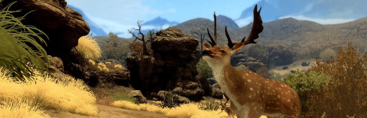 Cabela's Big Game Hunter 2010