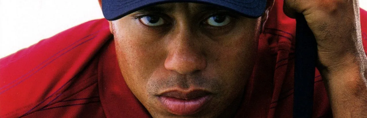 Tiger Woods PGA Tour 2004