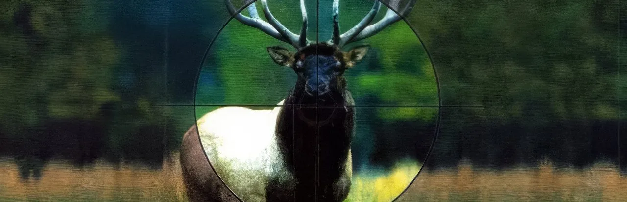 TNN Outdoors Pro Hunter