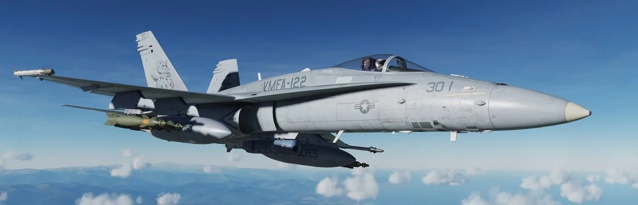 DCS World