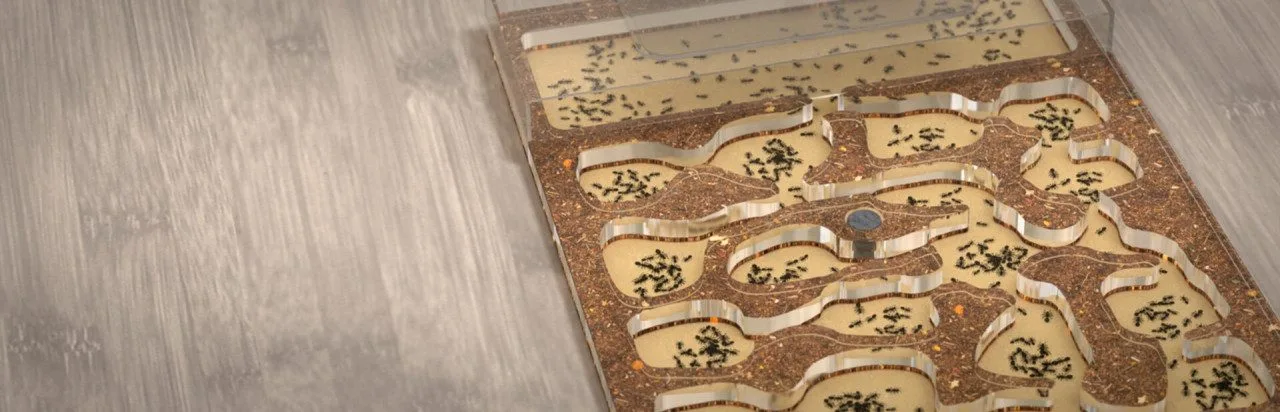 Ant Farm Simulator