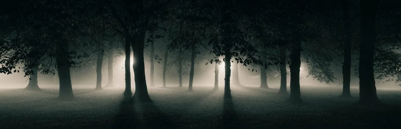 Forest Escape