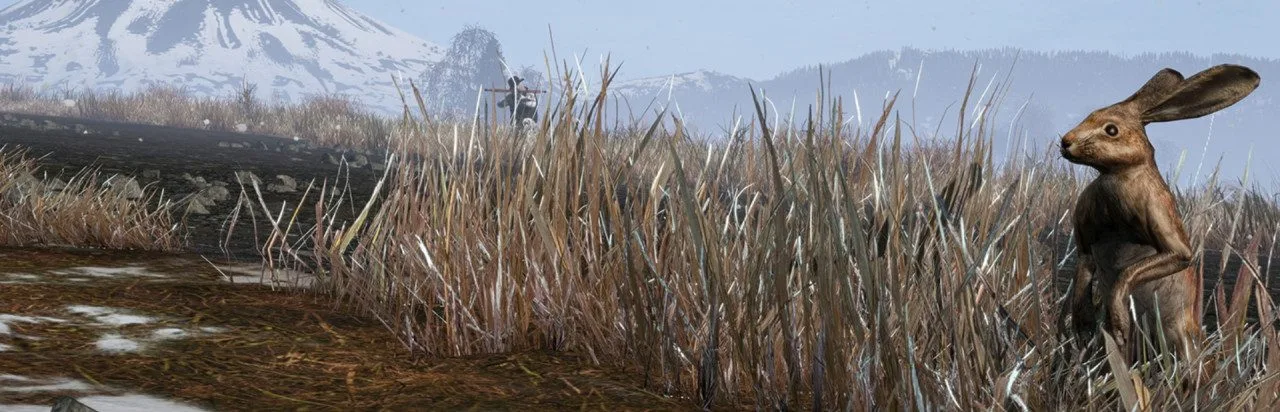 DayZ: Frostline