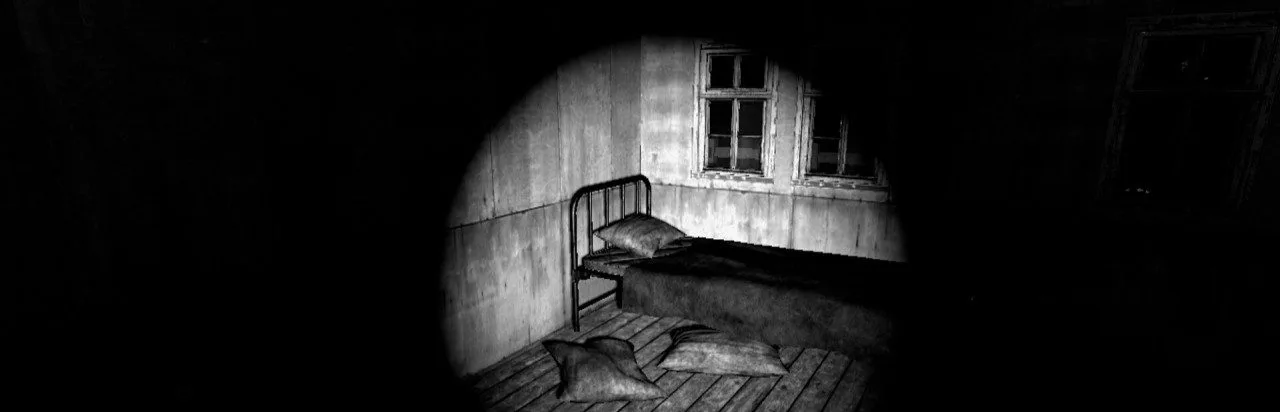 ASZG Project Director's Cut